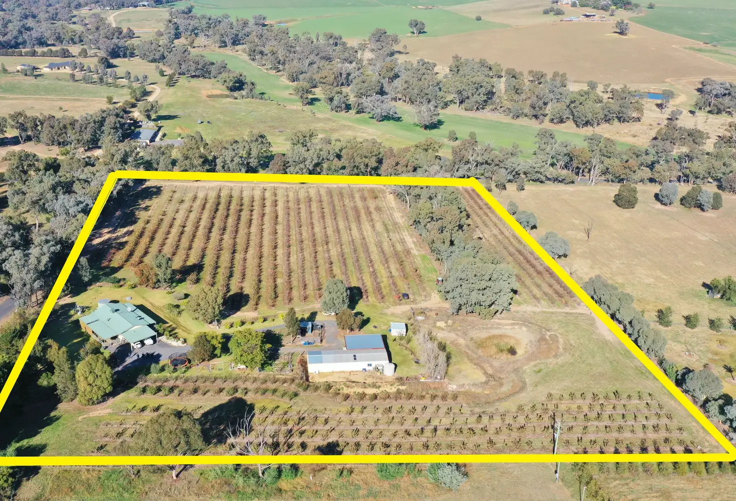 Main view of Homely house listing, 219 Pattersons Lane, Young NSW 2594