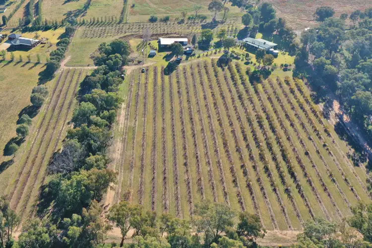 Fifth view of Homely house listing, 219 Pattersons Lane, Young NSW 2594