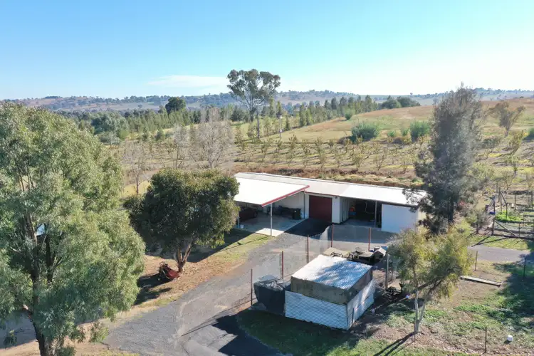 Sixth view of Homely house listing, 219 Pattersons Lane, Young NSW 2594