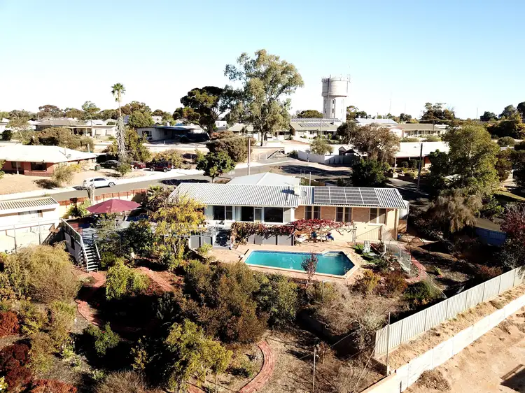 44 Laffer Street, Barmera SA 5345