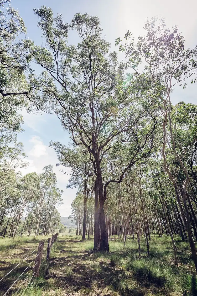 Sixth view of Homely land listing, lot 2, 616 East Seaham Road, East Seaham NSW 2324