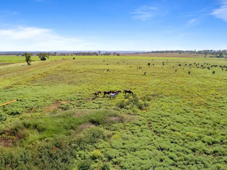 Fifth view of Homely rural property listing, 0 Crighton Road, Biddeston QLD 4401
