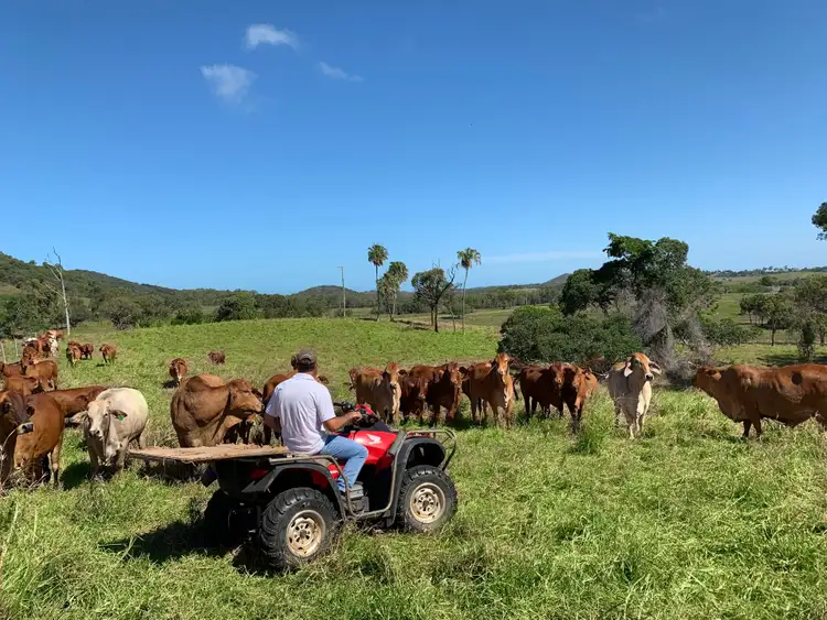 Second view of Homely rural property listing, 167 Grasstree Beach Road, Grasstree Beach QLD 4740