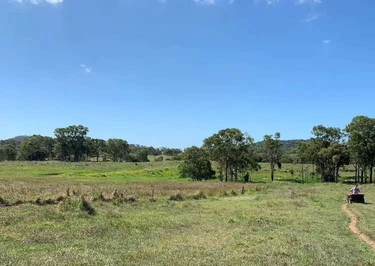 Third view of Homely rural property listing, 167 Grasstree Beach Road, Grasstree Beach QLD 4740