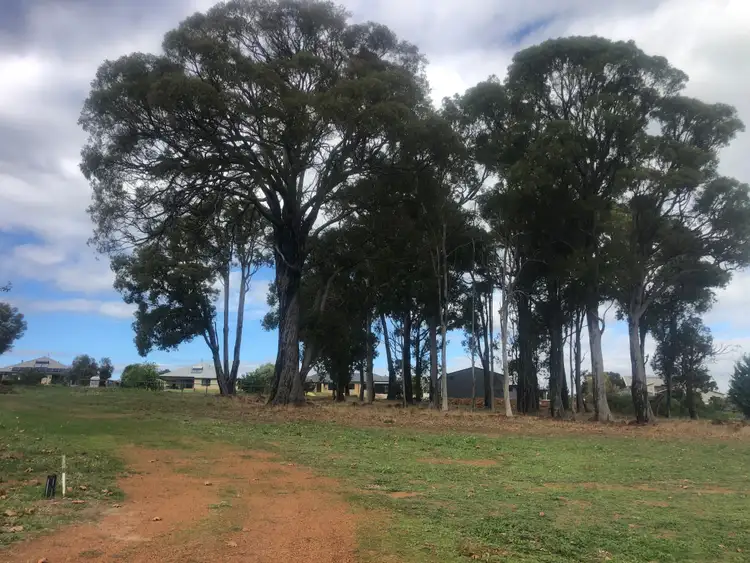 Fifth view of Homely land listing, 25 Galloway, Bridgetown WA 6255