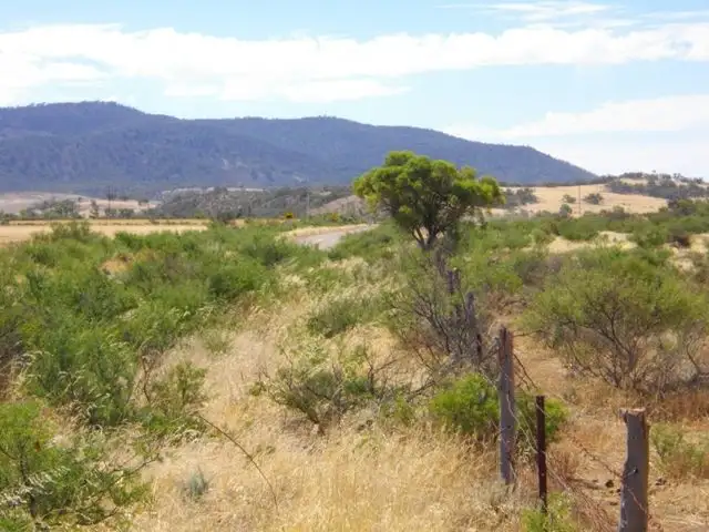 Fourth view of Homely land listing, Section 122 McConville Road, Quorn SA 5433
