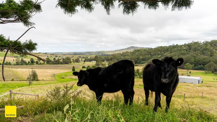 88 Spring Creek Road, Killarney QLD 4373