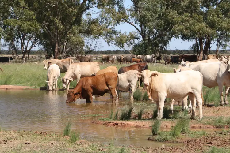 0 Arlington, Mitchell QLD 4465