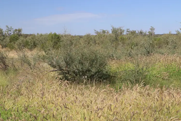 Fourth view of Homely rural property listing, 0 Arlington, Mitchell QLD 4465