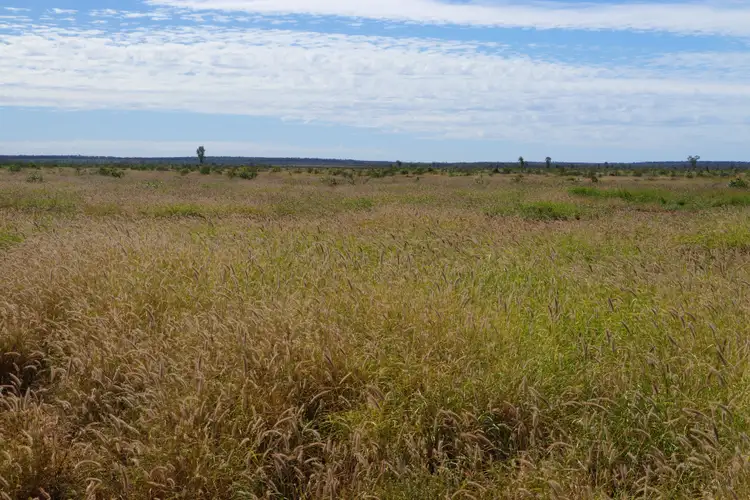 Sixth view of Homely rural property listing, 0 Arlington, Mitchell QLD 4465