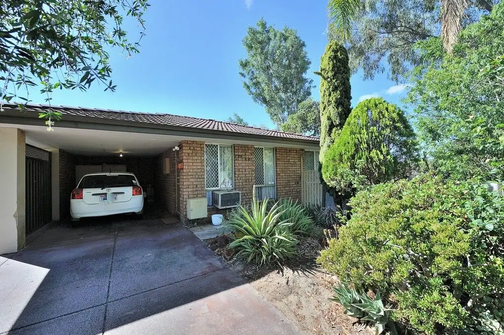 Main view of Homely semi-detached listing, 62B Wellaton Street, Midland WA 6056
