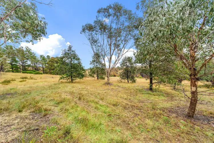 Fourth view of Homely house listing, 40 Molonglo Place, Carwoola NSW 2620