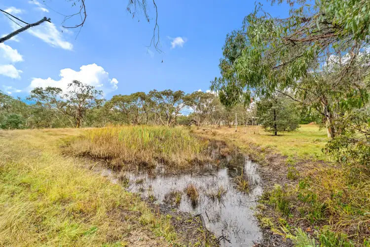 Fifth view of Homely house listing, 40 Molonglo Place, Carwoola NSW 2620