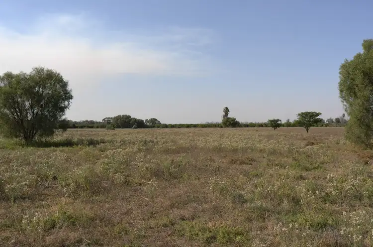 Fourth view of Homely rural property listing, 64 Boots Road, Stanbridge NSW 2705