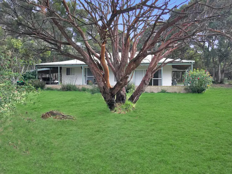 Main view of Homely house listing, 84 Symers Street, Little Grove WA 6330