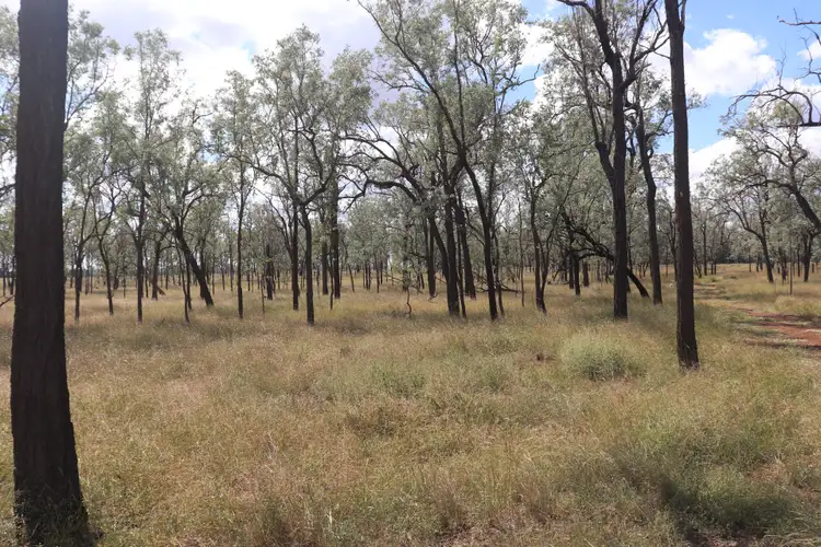 Sixth view of Homely rural property listing, L 17, 55 & 62 Old Burrandowan Road, Diamondy, Durong QLD 4610
