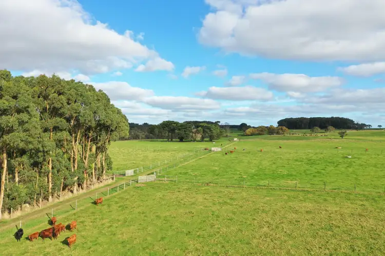 Sixth view of Homely rural property listing, 219 Timboon-Curdievale Road, Timboon VIC 3268