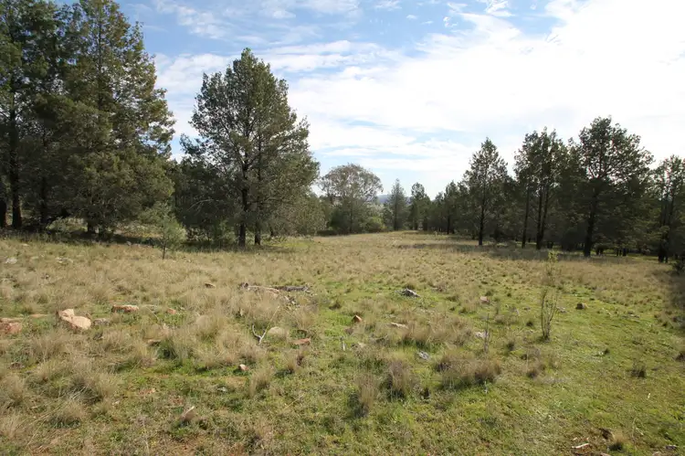 Fifth view of Homely rural property listing, Lot 8 Grandview Place, Quirindi NSW 2343