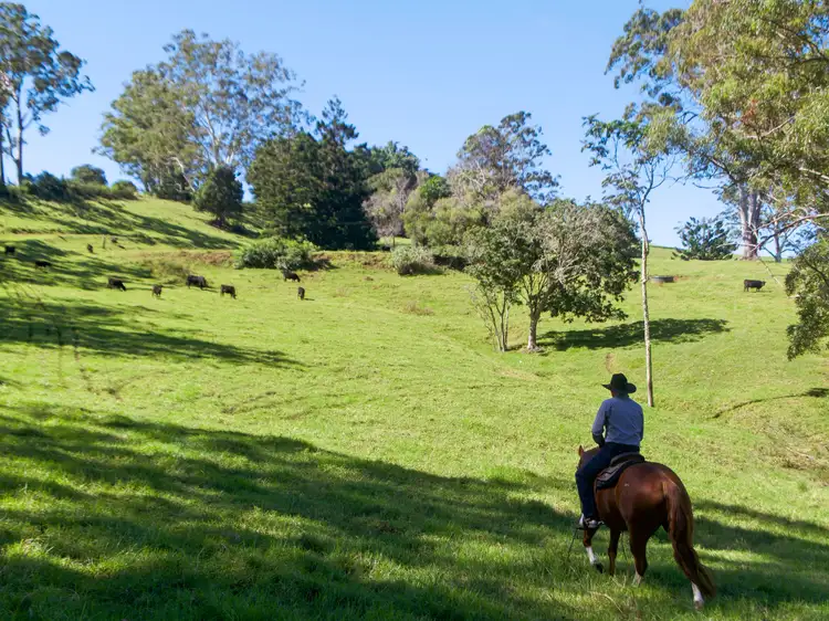 Fourth view of Homely land listing, 19-115 Sellin Road, Mount Mee QLD 4521