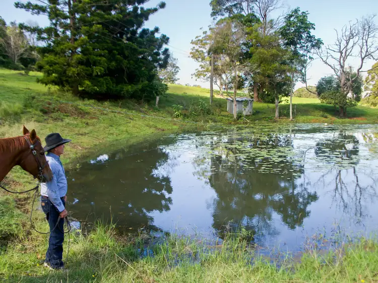 Seventh view of Homely land listing, 19-115 Sellin Road, Mount Mee QLD 4521