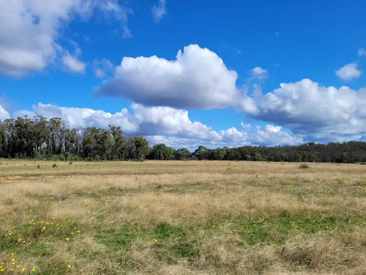 Seventh view of Homely rural property listing, 180 Crags Road, Nerriga, Braidwood NSW 2622