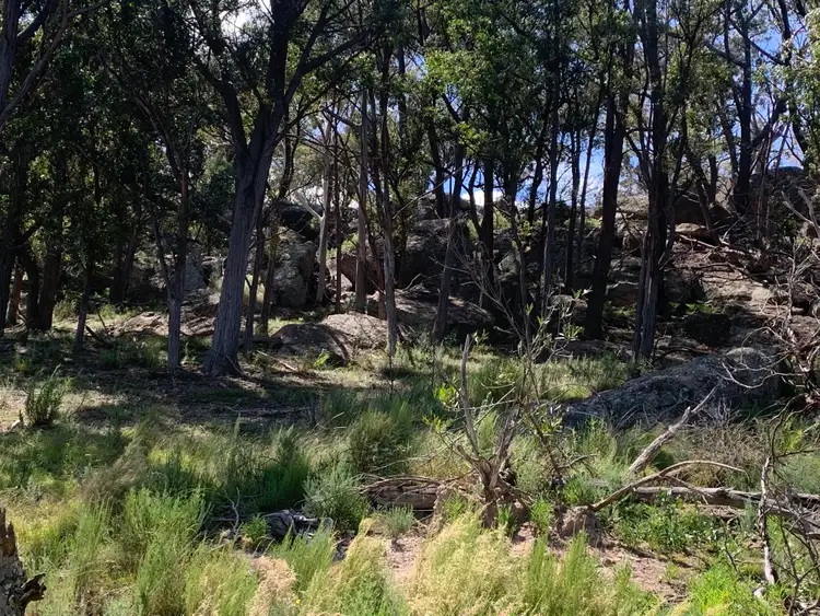 Fourth view of Homely rural property listing, 15178 Hume Highway, Marulan NSW 2579