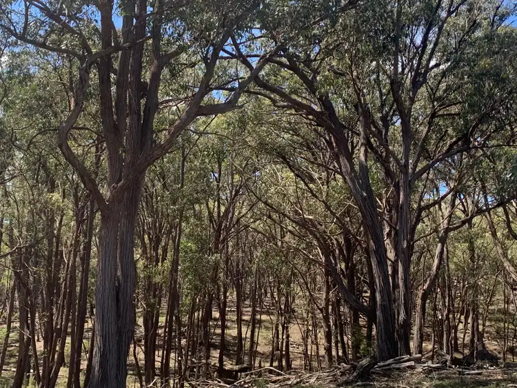 Fifth view of Homely rural property listing, 15178 Hume Highway, Marulan NSW 2579