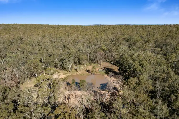 Sixth view of Homely rural property listing, Lot 1 Harrigan Road, Sandy Camp QLD 4361