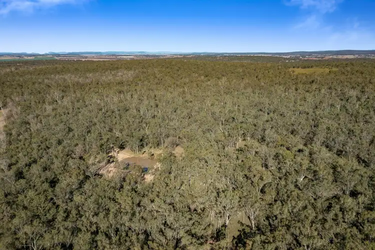 Seventh view of Homely rural property listing, Lot 1 Harrigan Road, Sandy Camp QLD 4361