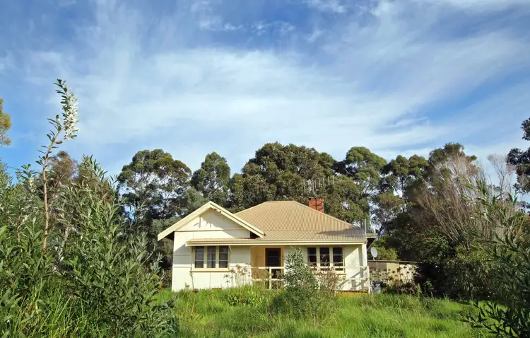 50 Ocean Beach Road, Denmark WA 6333