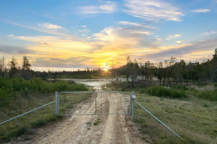 Second view of Homely rural property listing, 8422 Nerriga Road, Tomboye NSW 2622