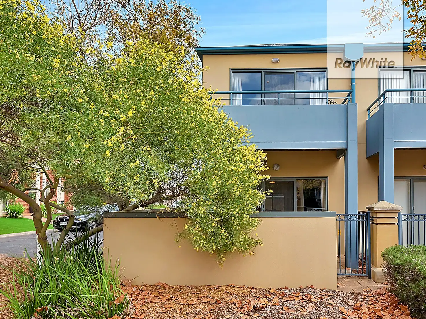 Main view of Homely house listing, 8, 2 Greentree Place, Mawson Lakes SA 5095