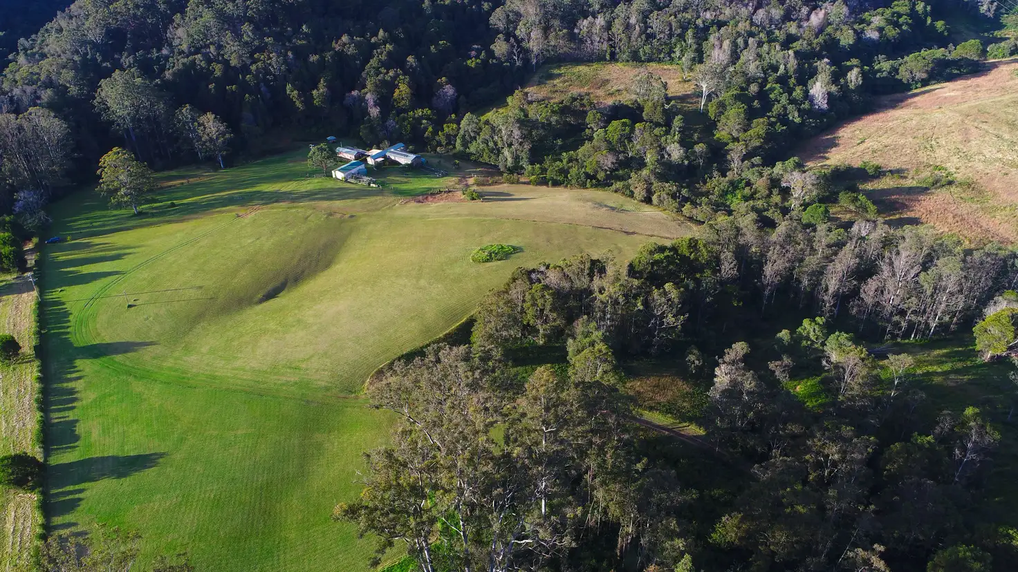 Main view of Homely rural property listing, 100 Schultz Road, Billys Creek, Dorrigo NSW 2453