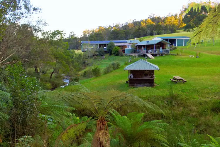 Third view of Homely rural property listing, 100 Schultz Road, Billys Creek, Dorrigo NSW 2453