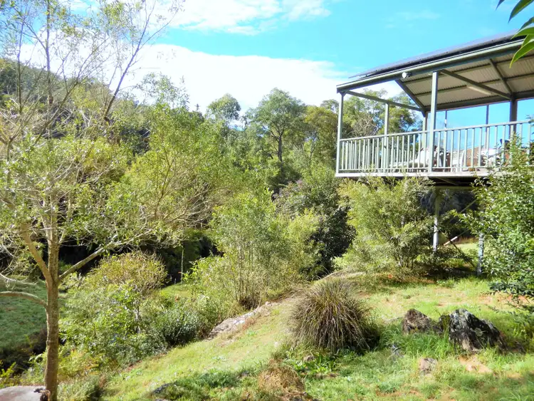 Seventh view of Homely rural property listing, 100 Schultz Road, Billys Creek, Dorrigo NSW 2453