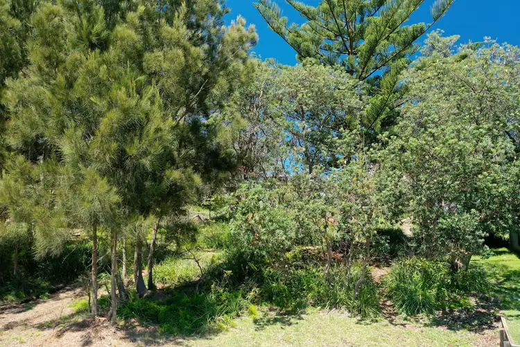 Sixth view of Homely land listing, 71 Kurrawa Drive, Kioloa NSW 2539
