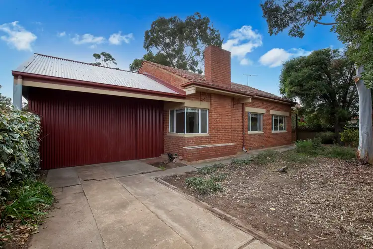 19 Levistone Street