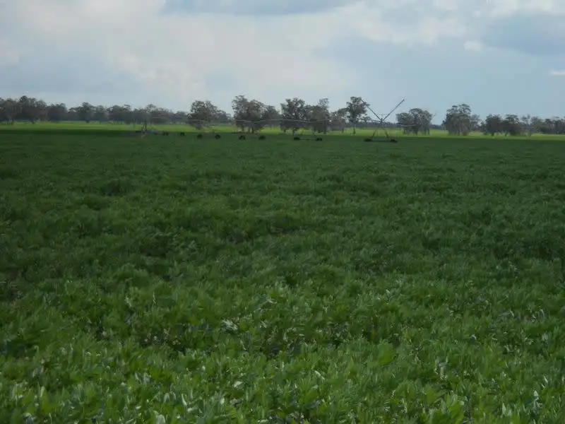 Main view of Homely rural property listing, Lot 41 and 42 Cnr Dukes Hwy and Meatworks Road, Bordertown SA 5268