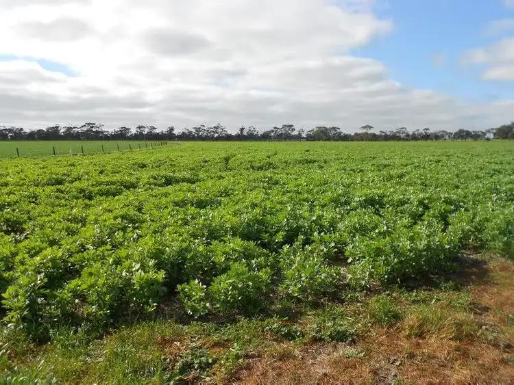 Second view of Homely rural property listing, Lot 41 and 42 Cnr Dukes Hwy and Meatworks Road, Bordertown SA 5268