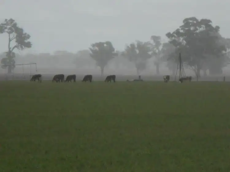 Fifth view of Homely rural property listing, Lot 41 and 42 Cnr Dukes Hwy and Meatworks Road, Bordertown SA 5268