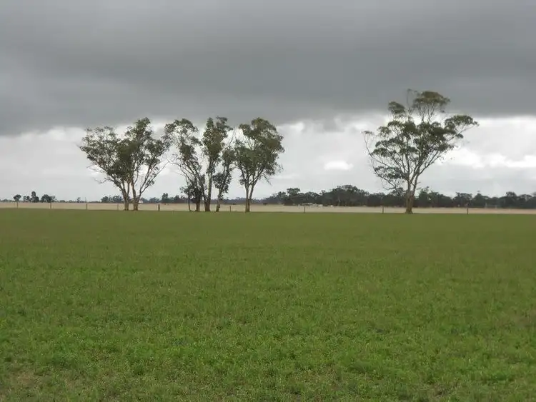 Sixth view of Homely rural property listing, Lot 41 and 42 Cnr Dukes Hwy and Meatworks Road, Bordertown SA 5268