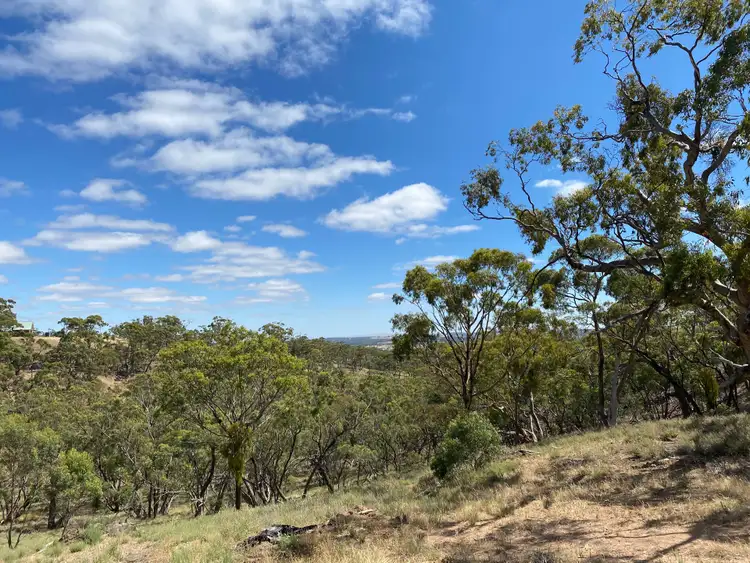 Sixth view of Homely land listing, Lot 3 Possingham Pit Road, Gillentown SA 5453