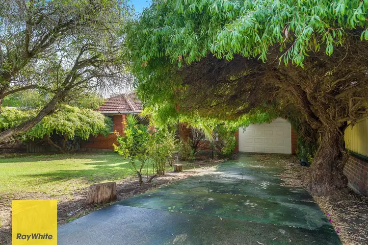Main view of Homely house listing, 35 Etchingham Road, Balga WA 6061