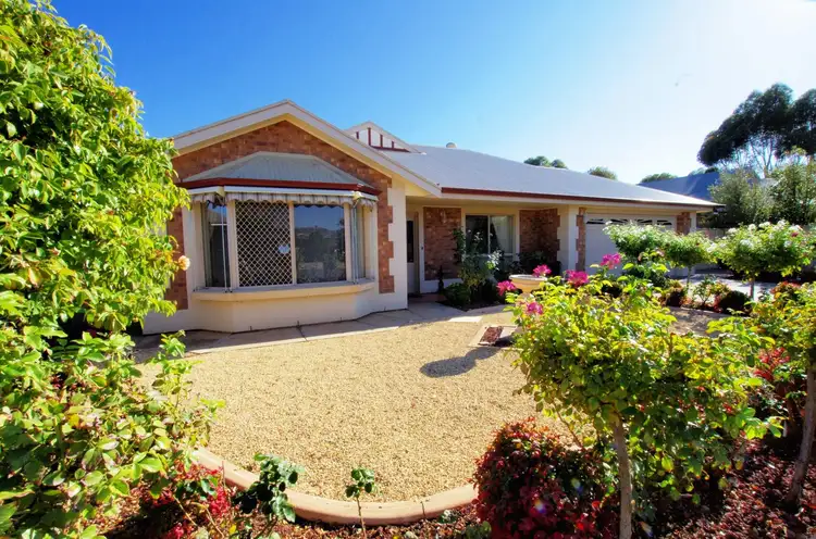 53 Brooke Street, Barmera SA 5345
