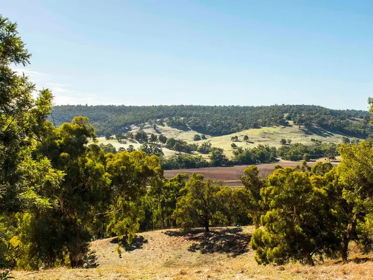 Fourth view of Homely house listing, 37 Chittering Valley Road, Lower Chittering WA 6084