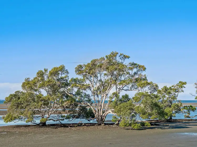 Fifth view of Homely house listing, 65 O'Quinn Street, Nudgee Beach QLD 4014