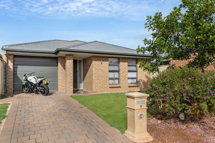 12 Felicia Avenue, Salisbury Downs SA 5108