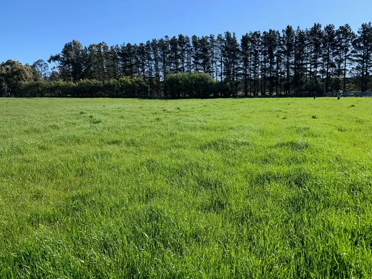 Fifth view of Homely rural property listing, "Boro Park" 1108 Goulburn Road, Goulburn NSW 2580