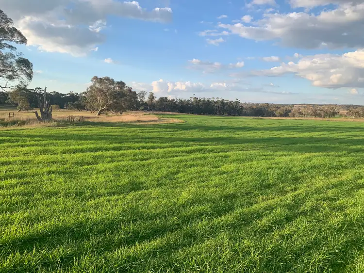 Sixth view of Homely rural property listing, "Boro Park" 1108 Goulburn Road, Goulburn NSW 2580