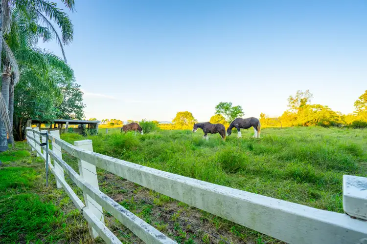 Fifth view of Homely rural property listing, 232 Larkhill Boundary Road, Glamorgan Vale QLD 4306